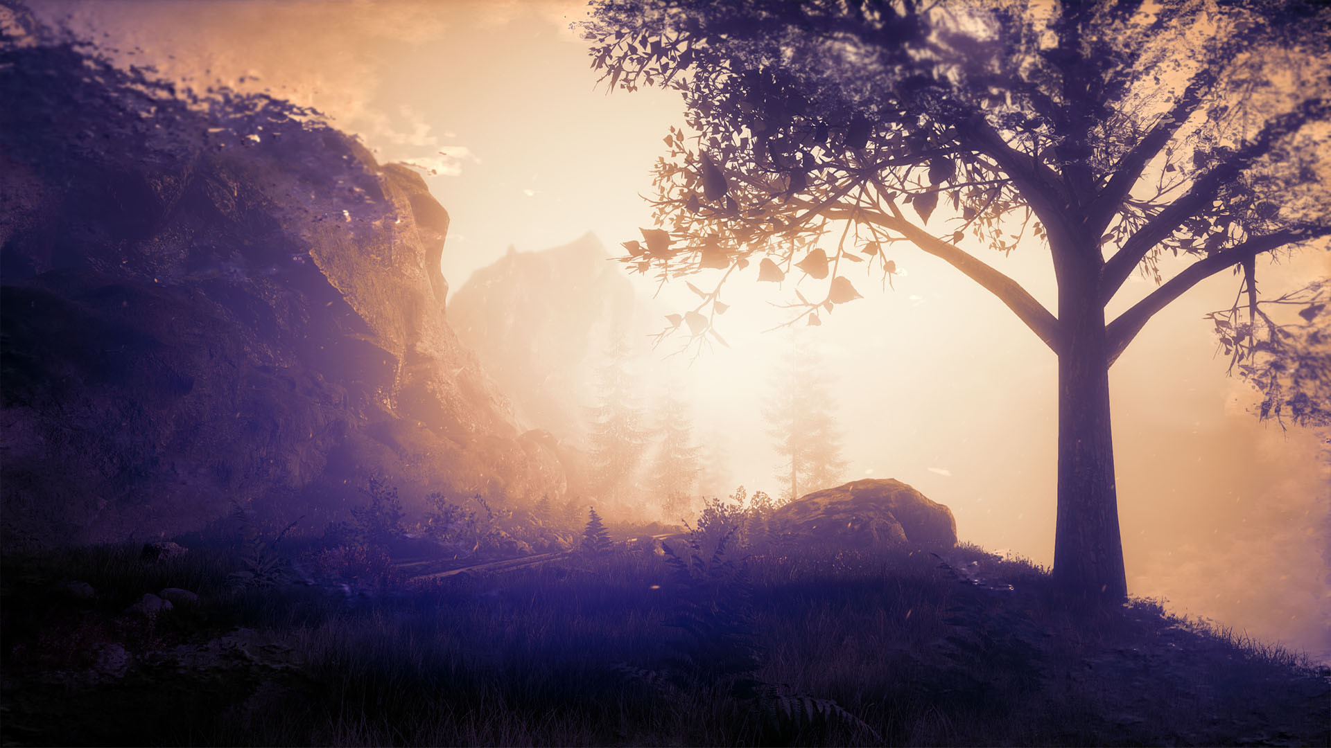 The Butterfly Sign: Human Error - кадр 2