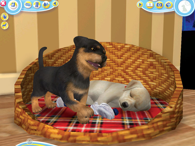 Petz Dogz 2 - кадр 2