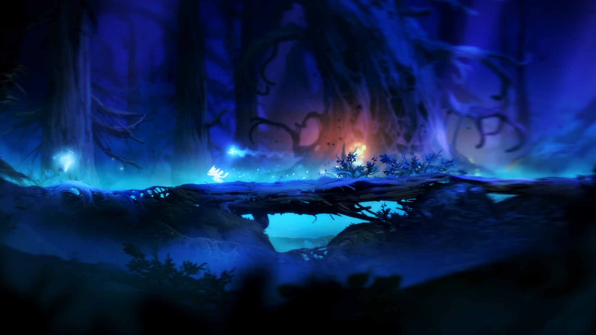 Ori and the Blind Forest: Definitive Edition - кадр 3