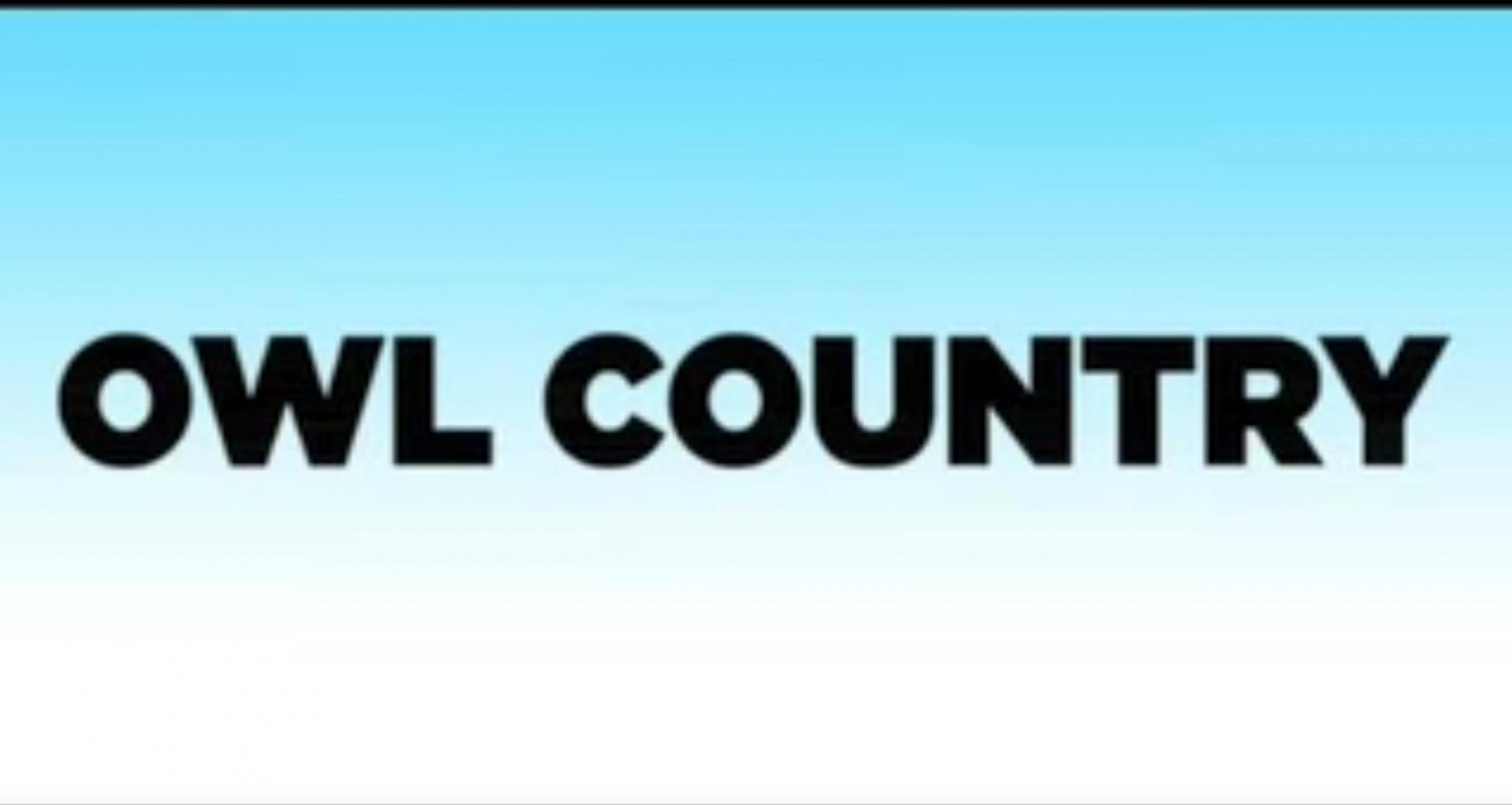 Owl Country (itch) - кадр 2