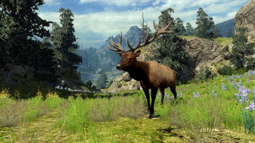Cabela's BGH 2010 - кадр 2