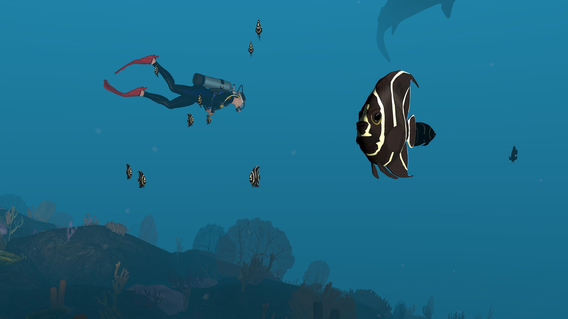 Dive with Sylvia VR - кадр 1