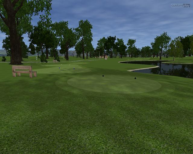 CustomPlay Golf - кадр 4