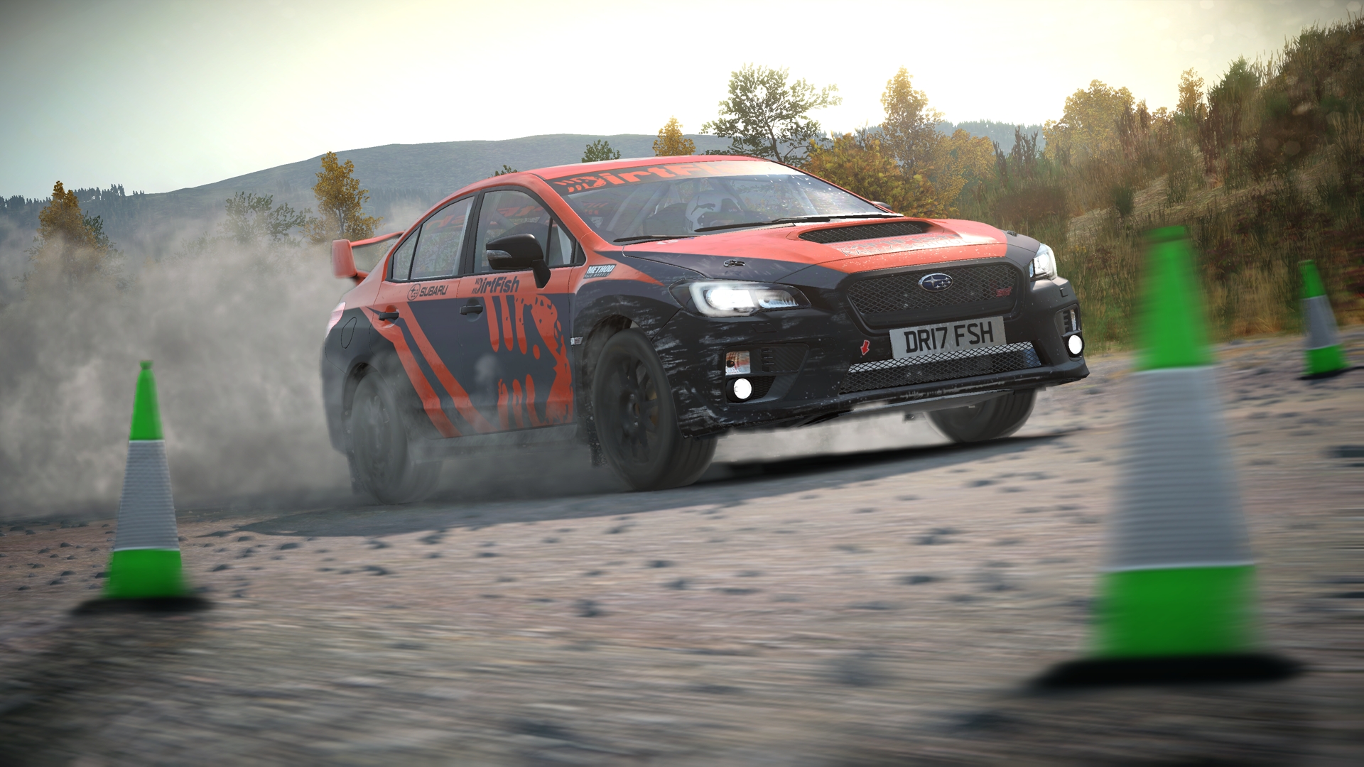 DiRT 4 - кадр 8
