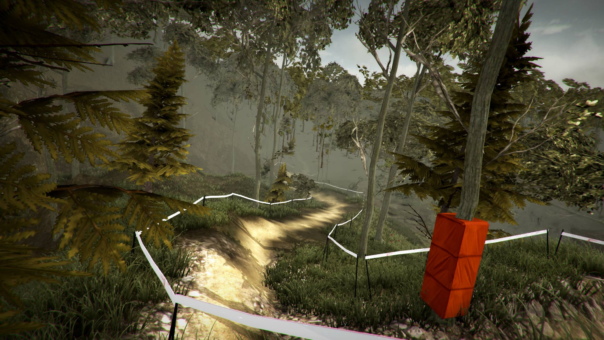 MTB Downhill Simulator - кадр 2