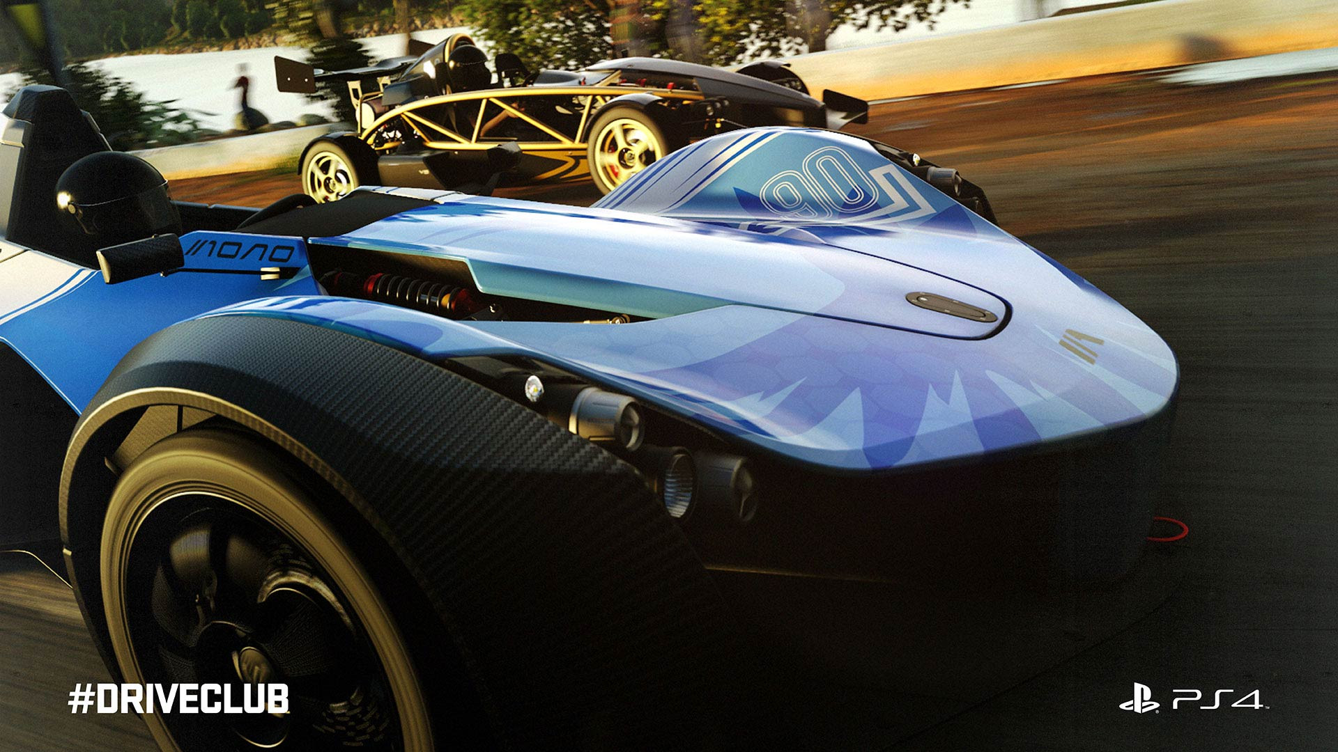 DriveClub - кадр 8