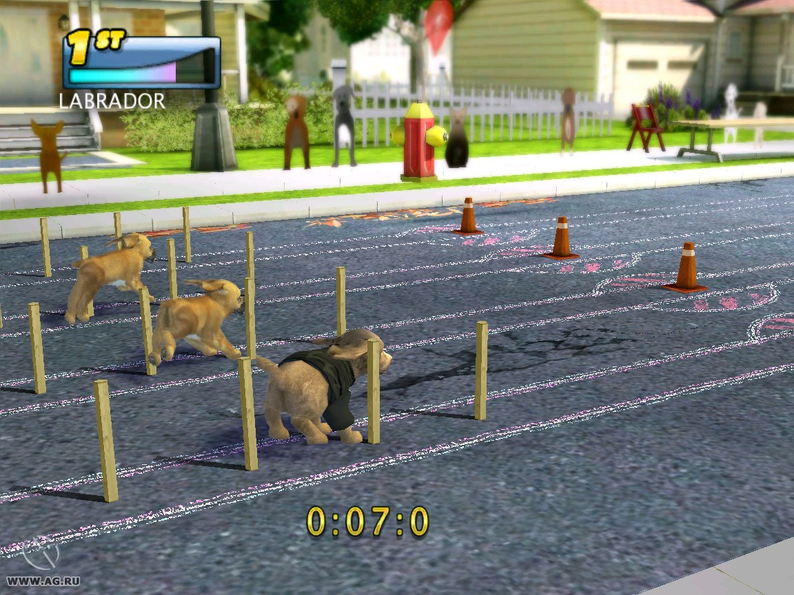 Petz Sports - кадр 4