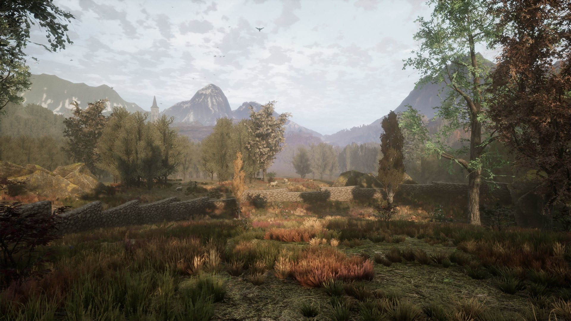 The Dead Tree of Ranchiuna - кадр 2