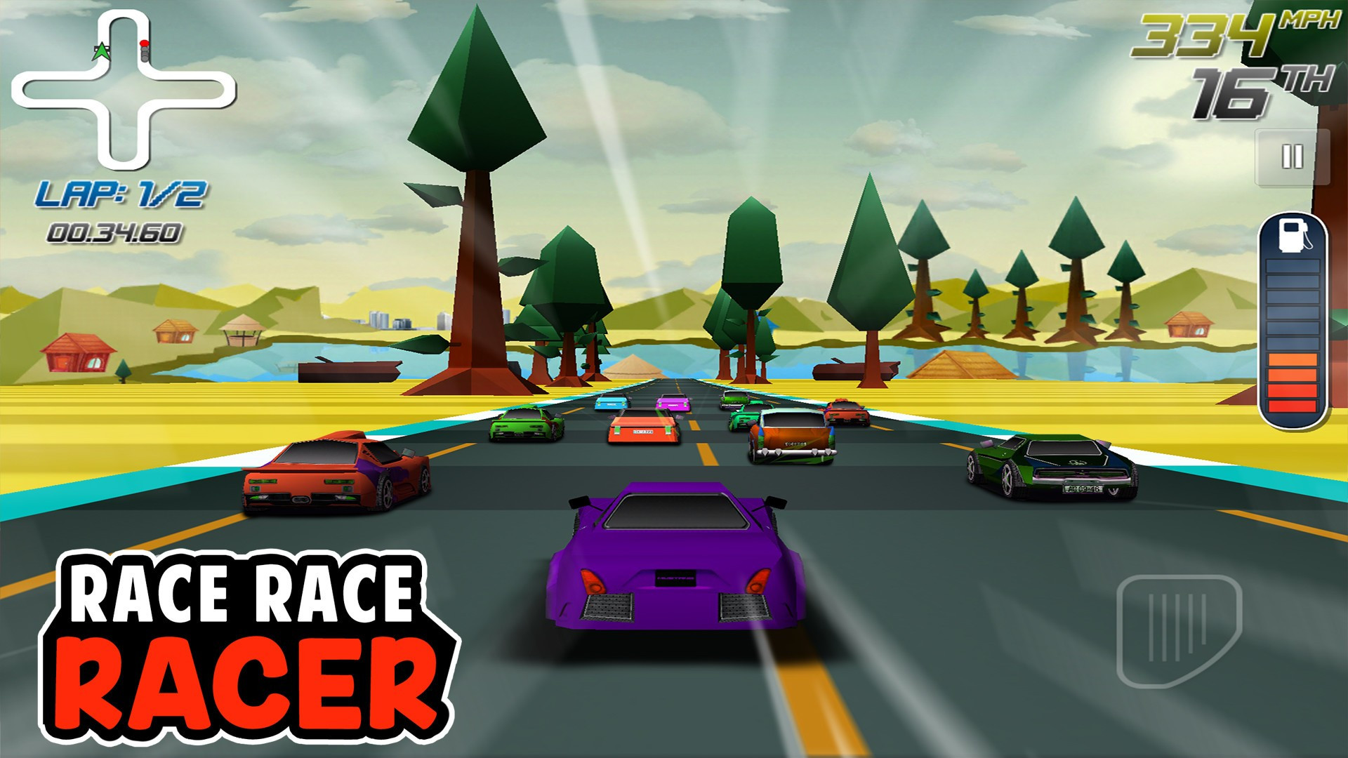 Race Race Racer - кадр 2