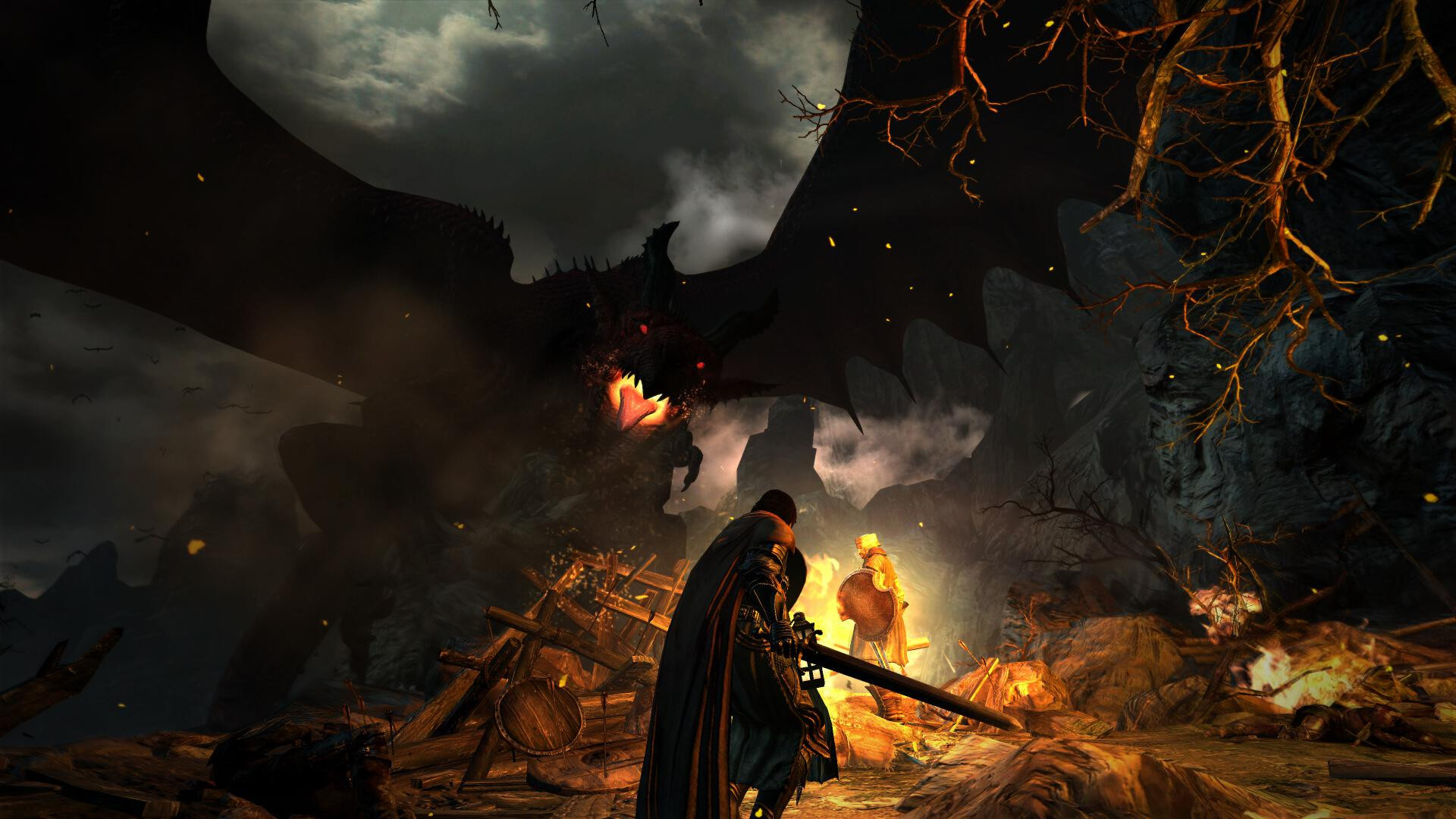 Dragon's Dogma: Dark Arisen - кадр 14