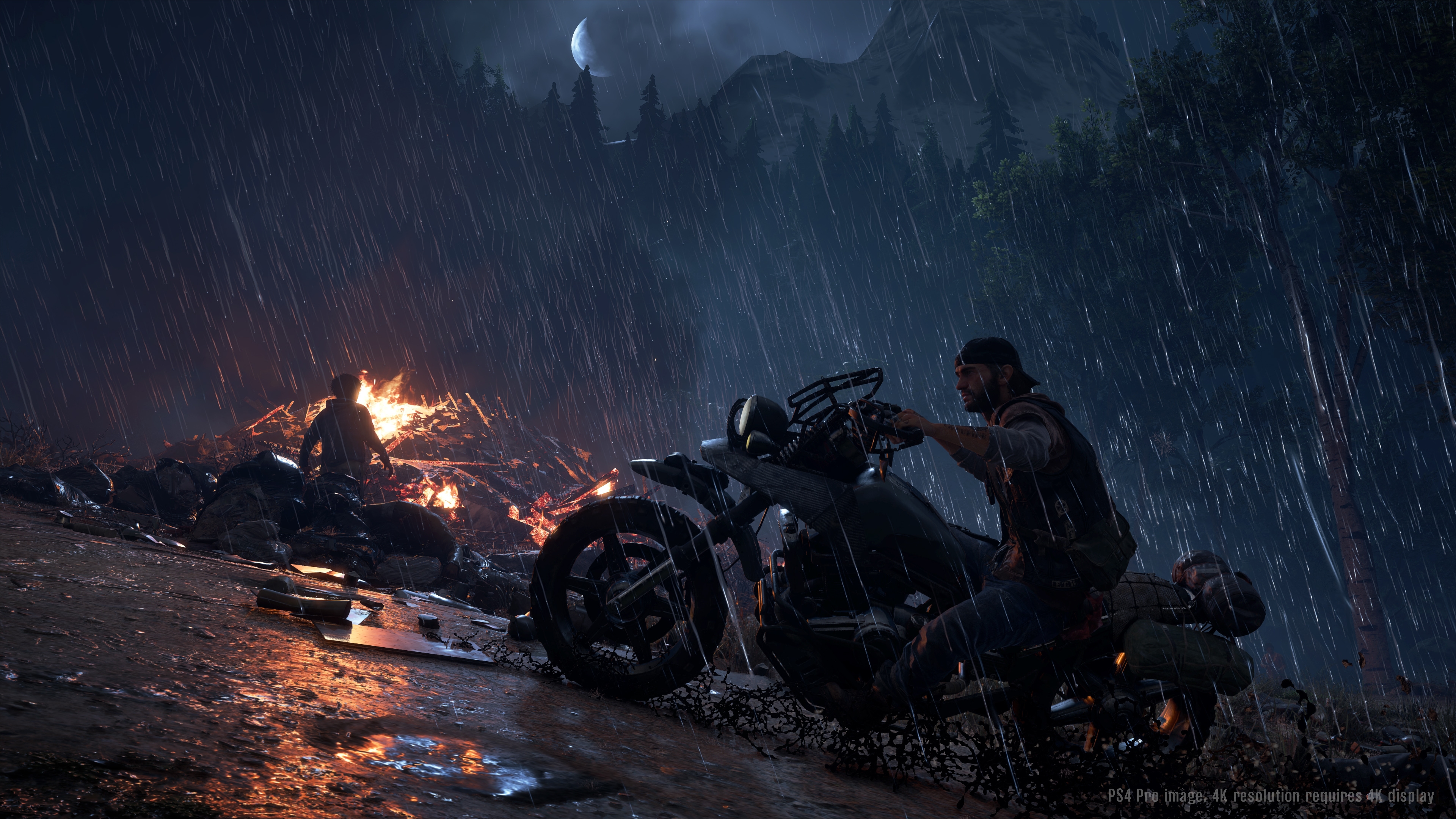 Days Gone - кадр 5