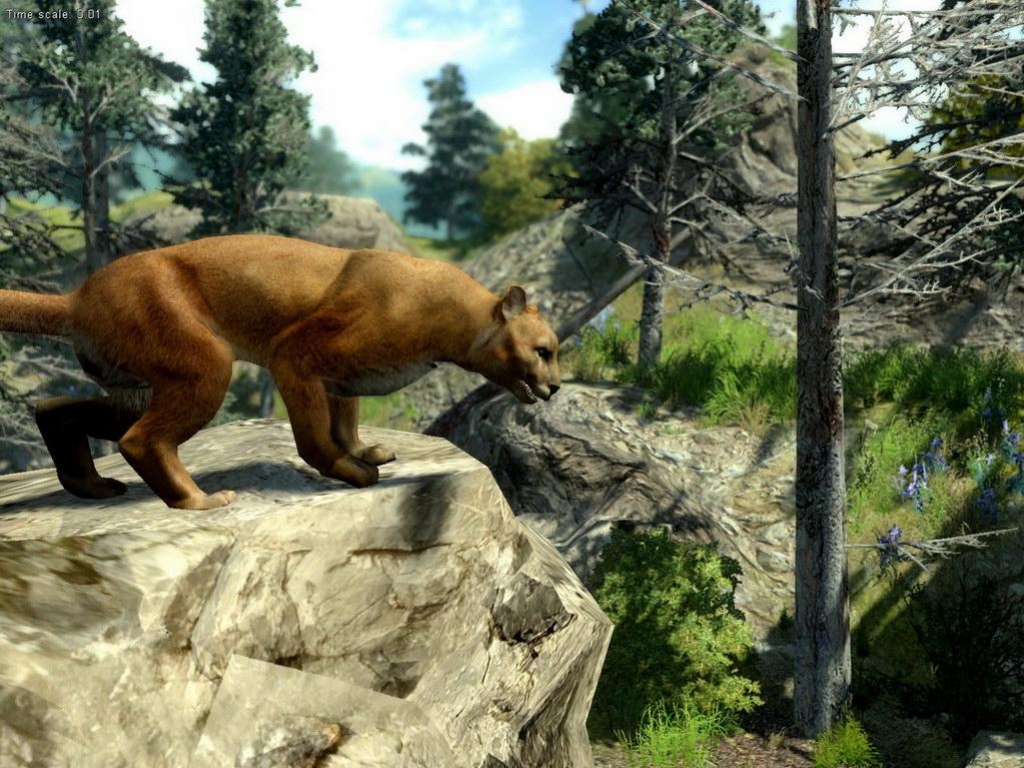 Cabela's Big Game Hunter 2010 - кадр 4