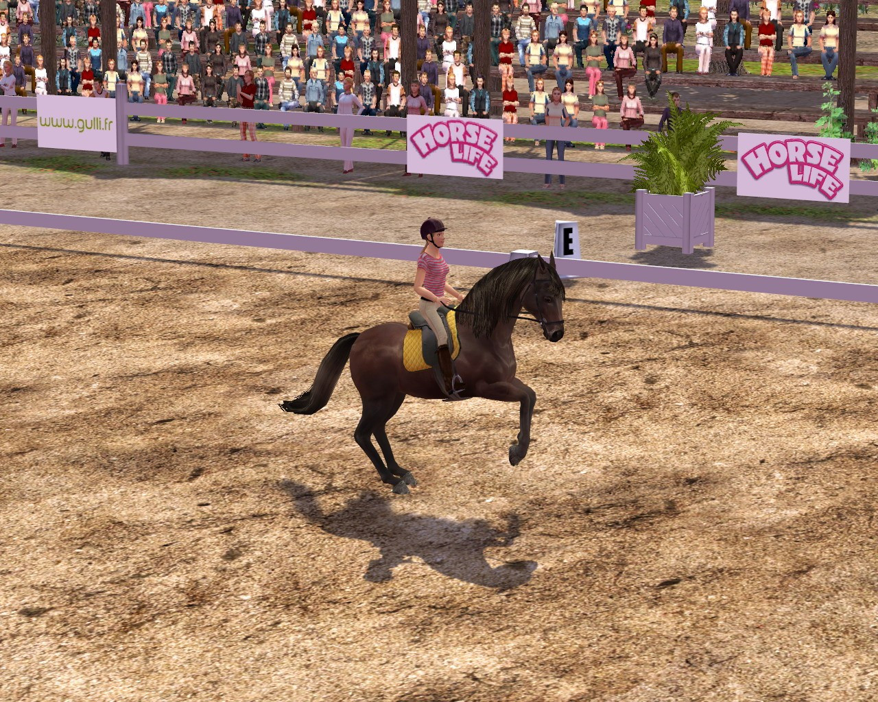 Ellen Whitaker's Horse Life - кадр 3
