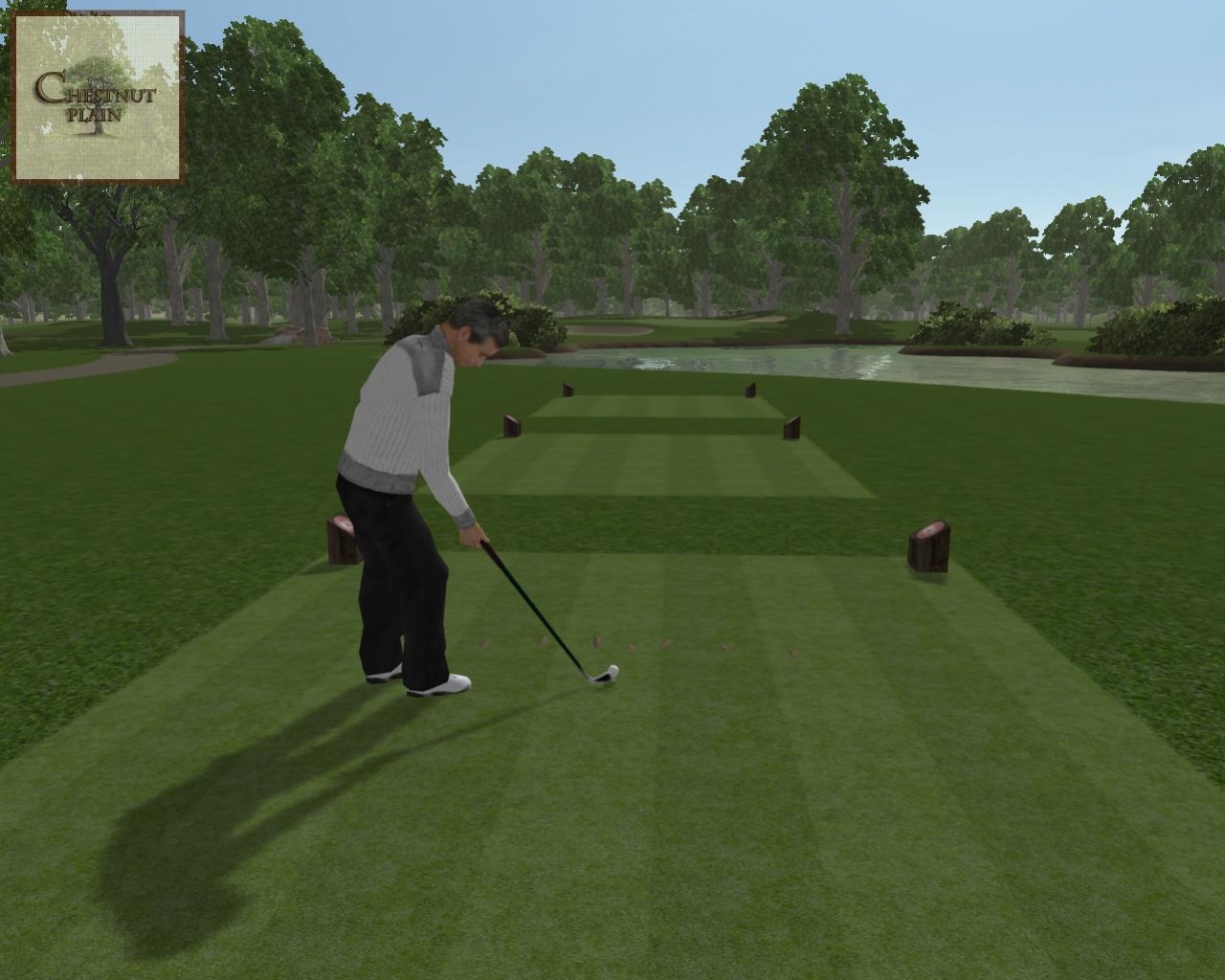 CustomPlay Golf 2 - кадр 14
