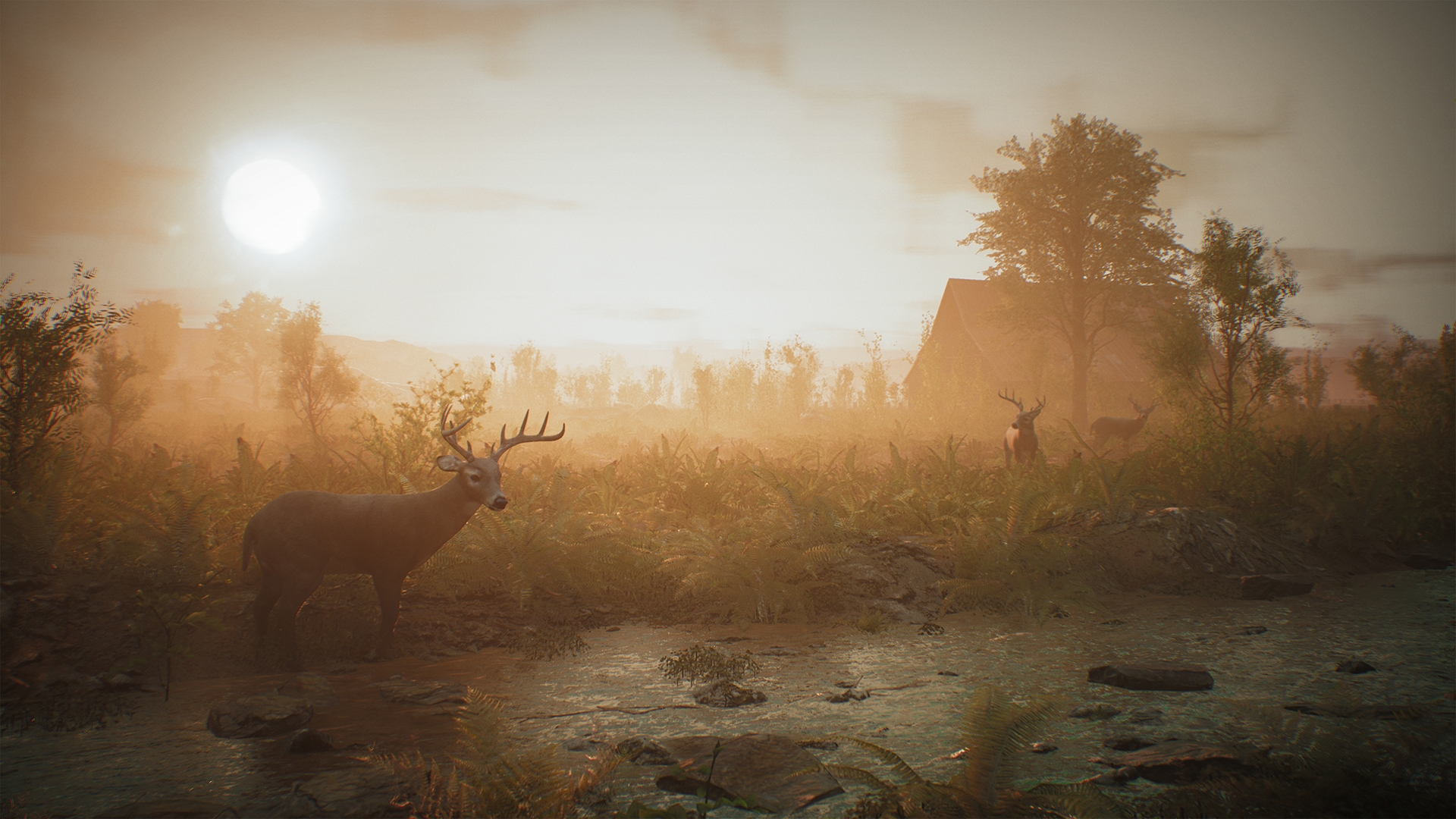 Morels: The Hunt - кадр 10
