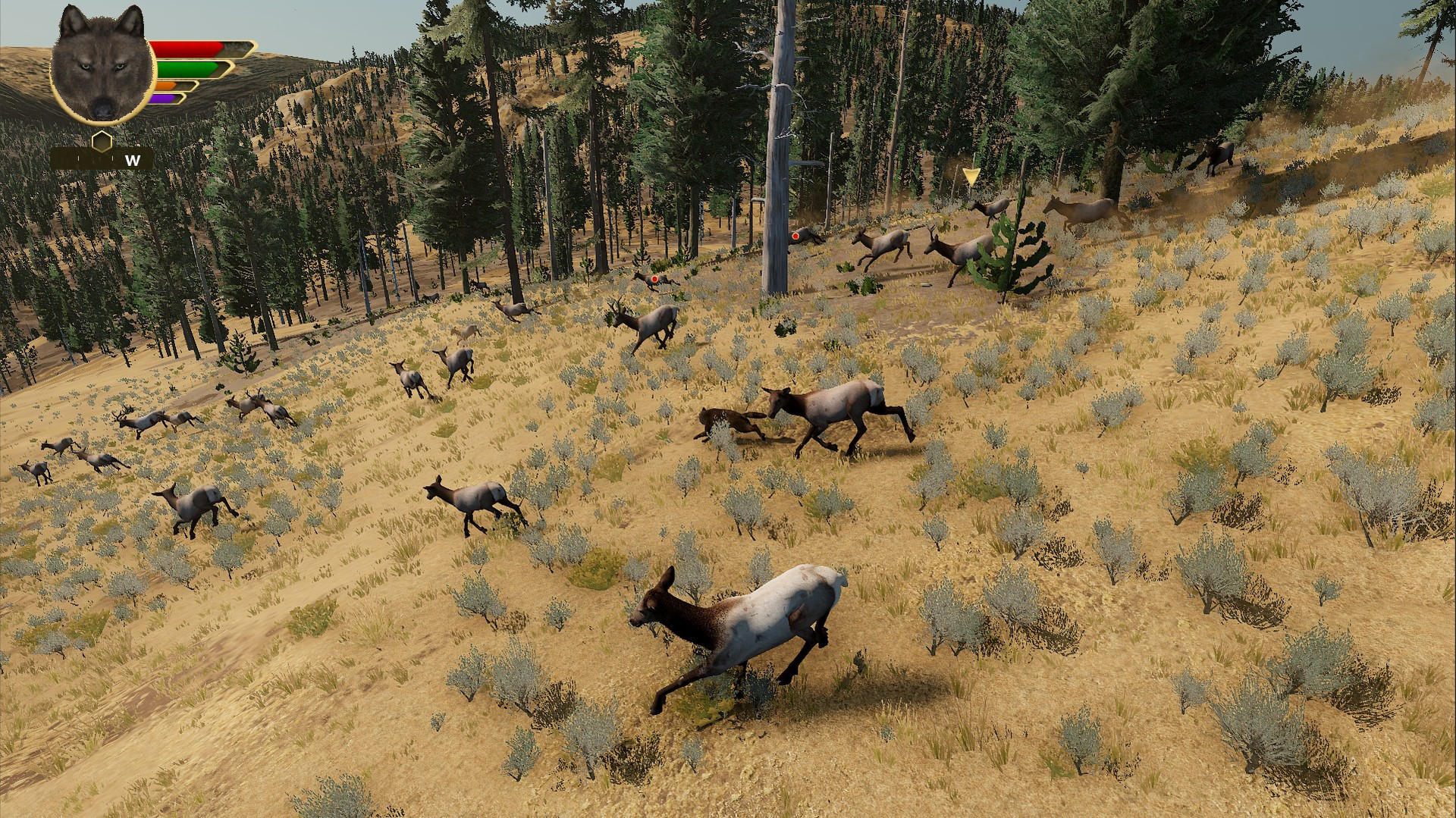 WolfQuest: Anniversary Edition - кадр 3