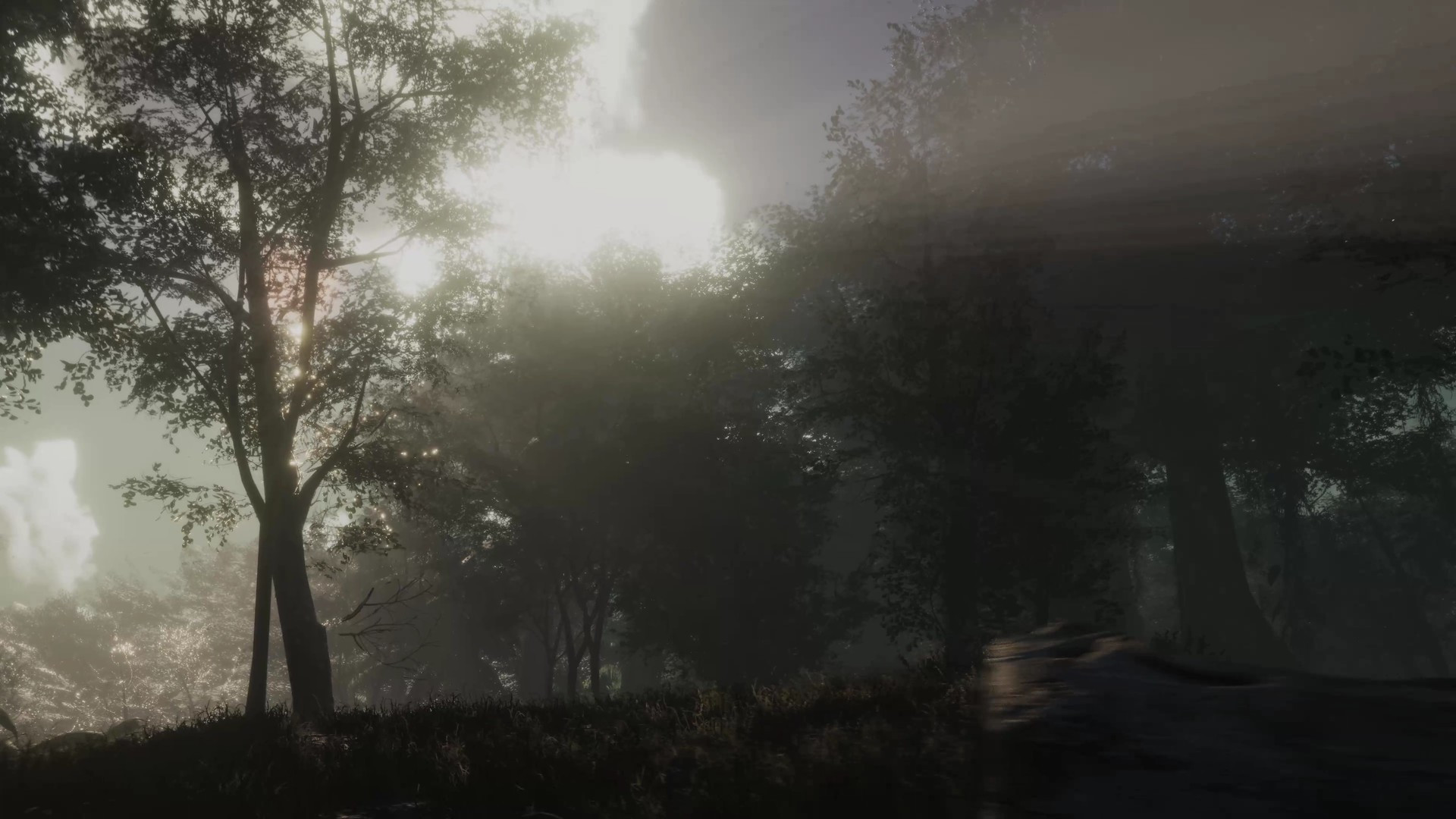PROJECT D: Human Risen - кадр 3
