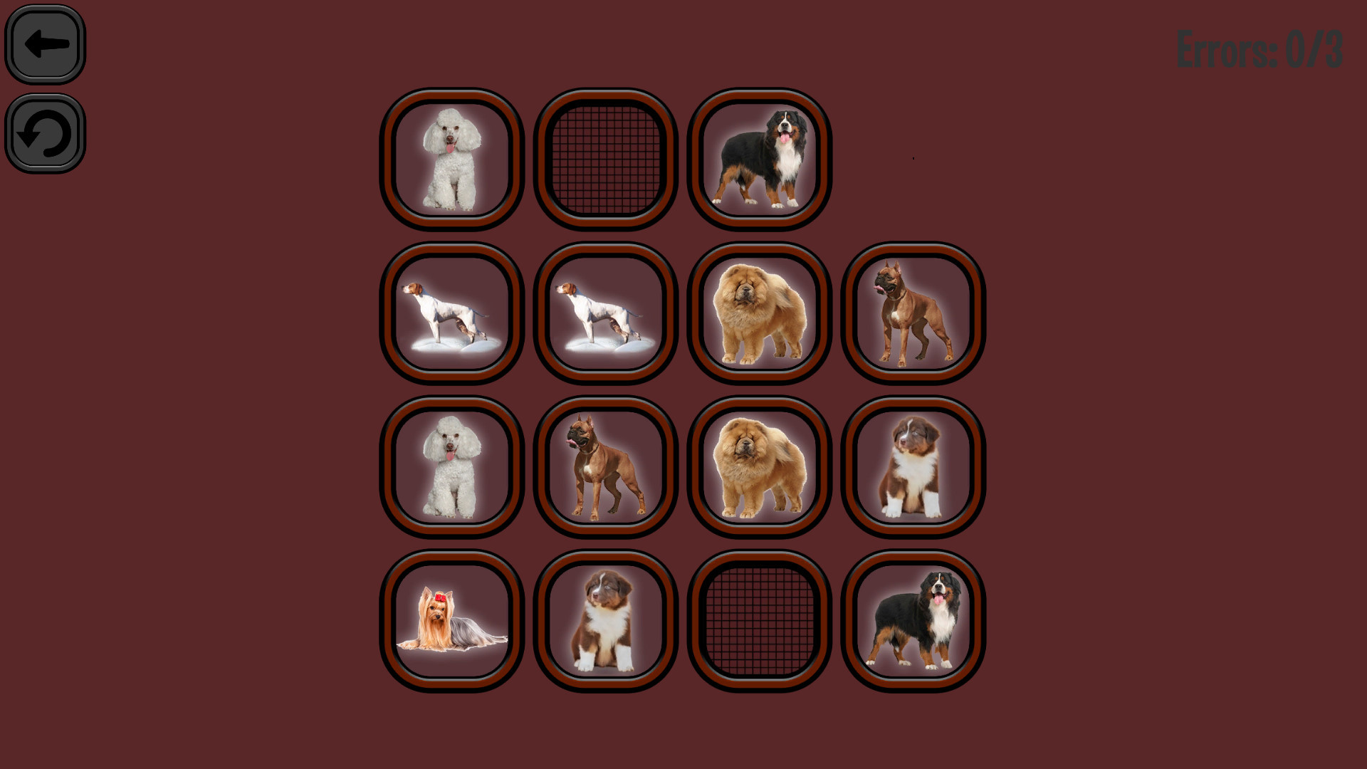 Animals Memory: Dogs - кадр 1