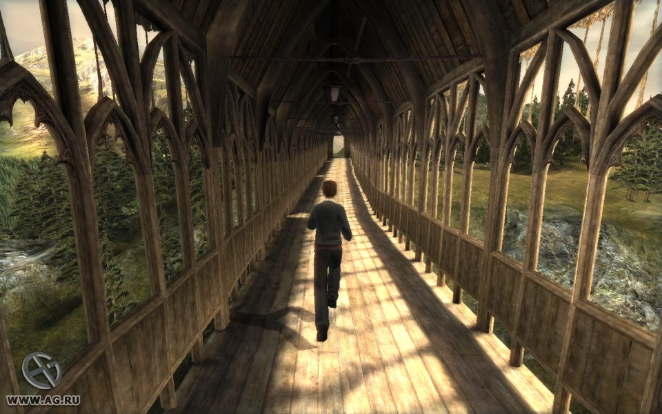 Harry Potter and the Order of the Phoenix - кадр 14