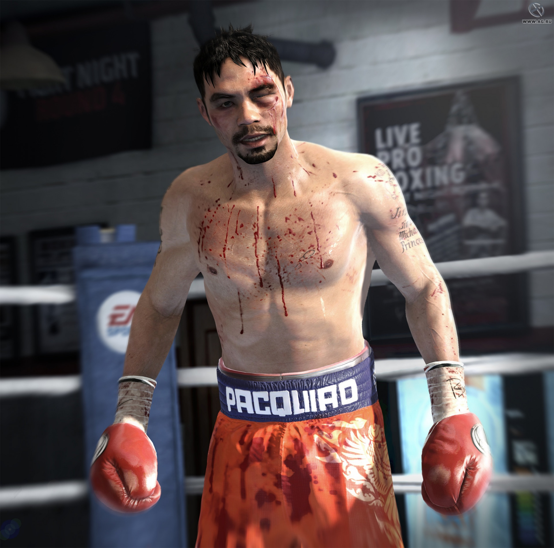 FIGHT NIGHT CHAMPION - кадр 5