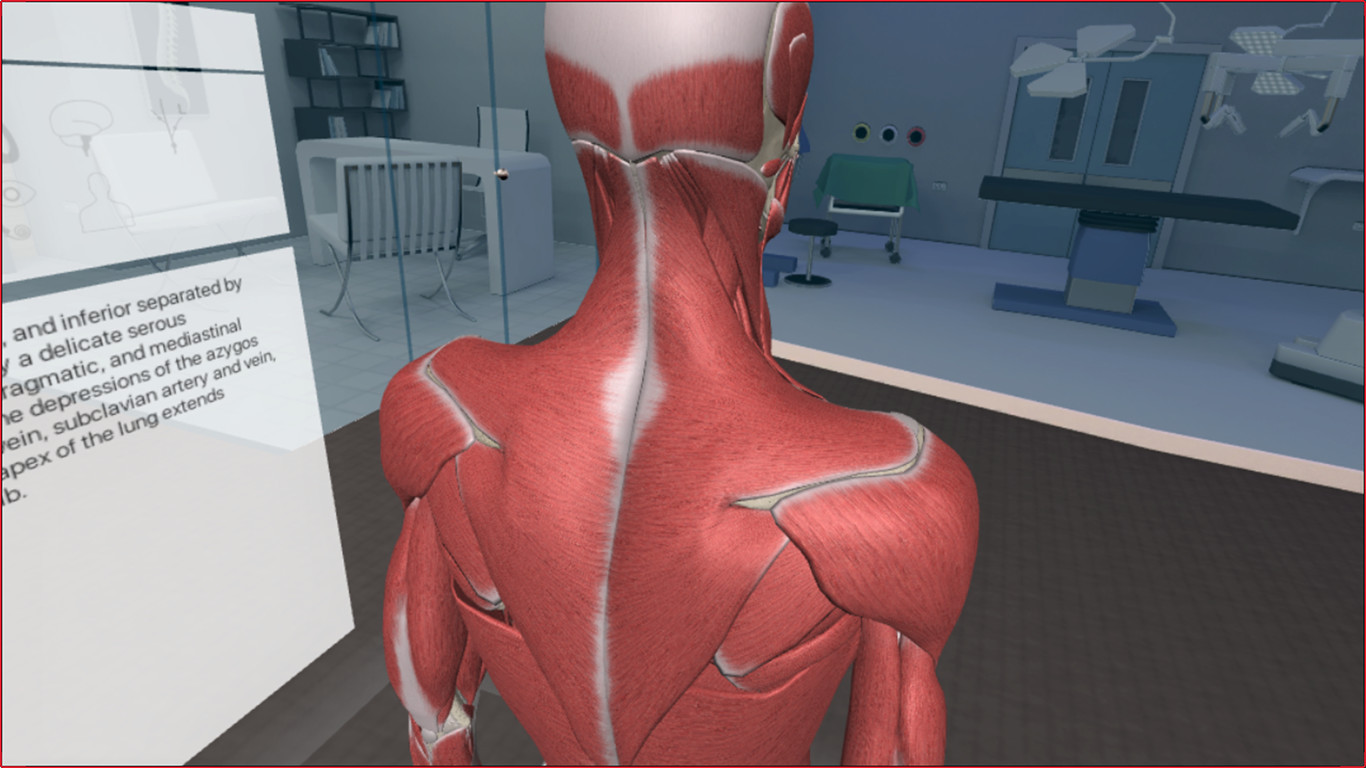 3D Organon VR Anatomy - кадр 3