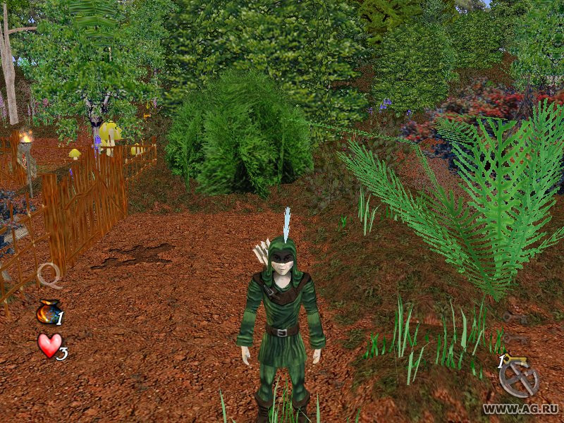 Robin Hood's Quest - кадр 4
