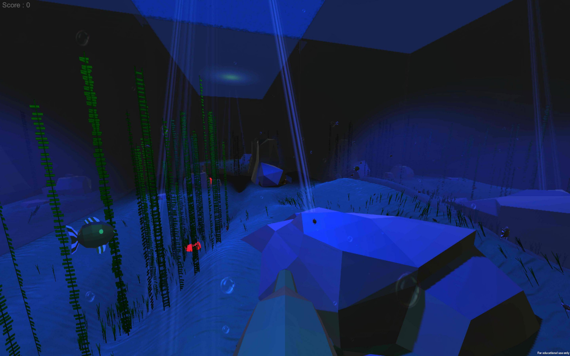 Delphinarium (itch) - кадр 1
