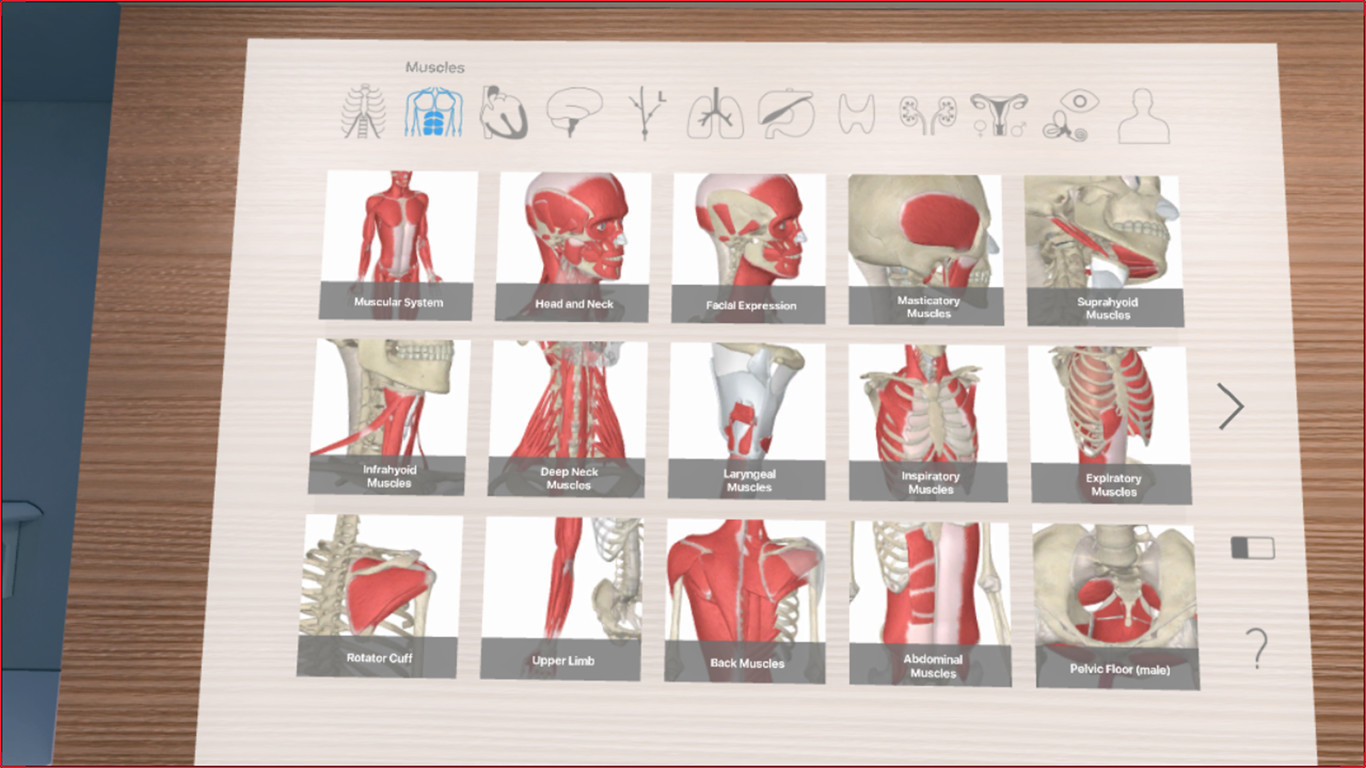 3D Organon VR Anatomy - кадр 4