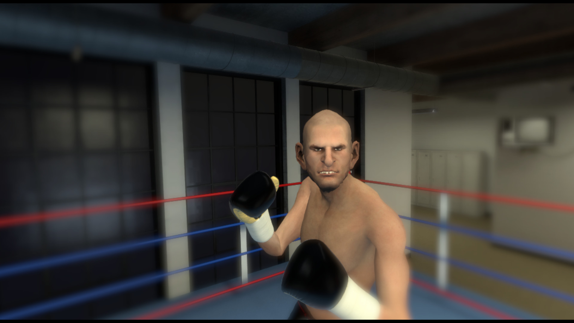 The Thrill of the Fight - VR Boxing - кадр 4