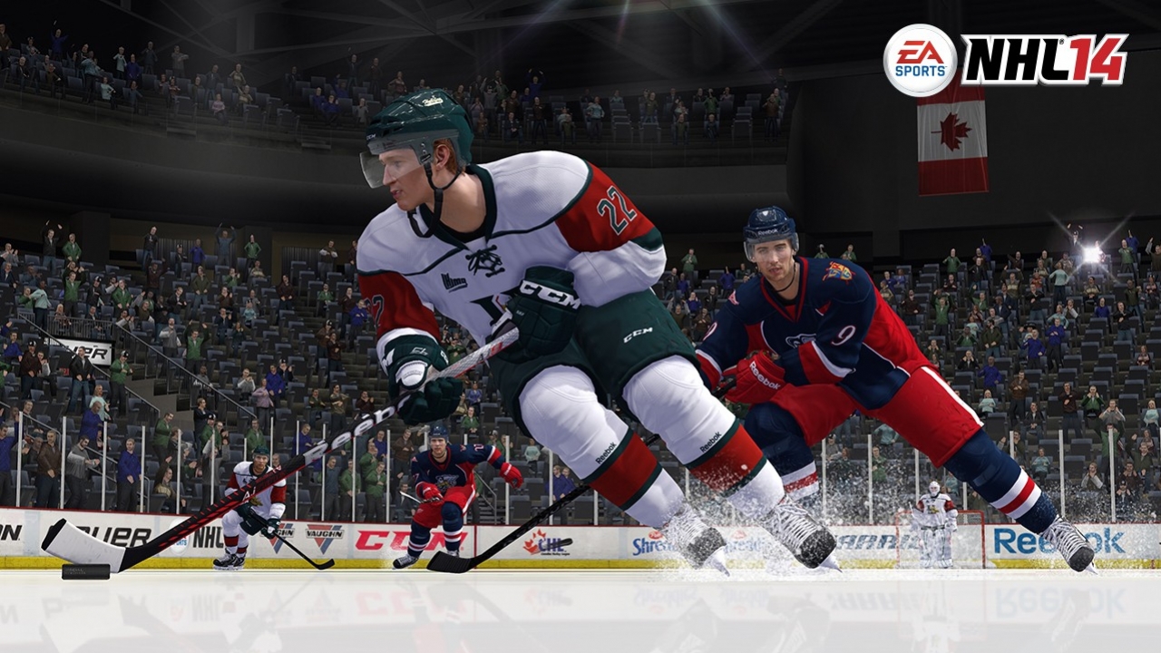 NHL 14 - кадр 10