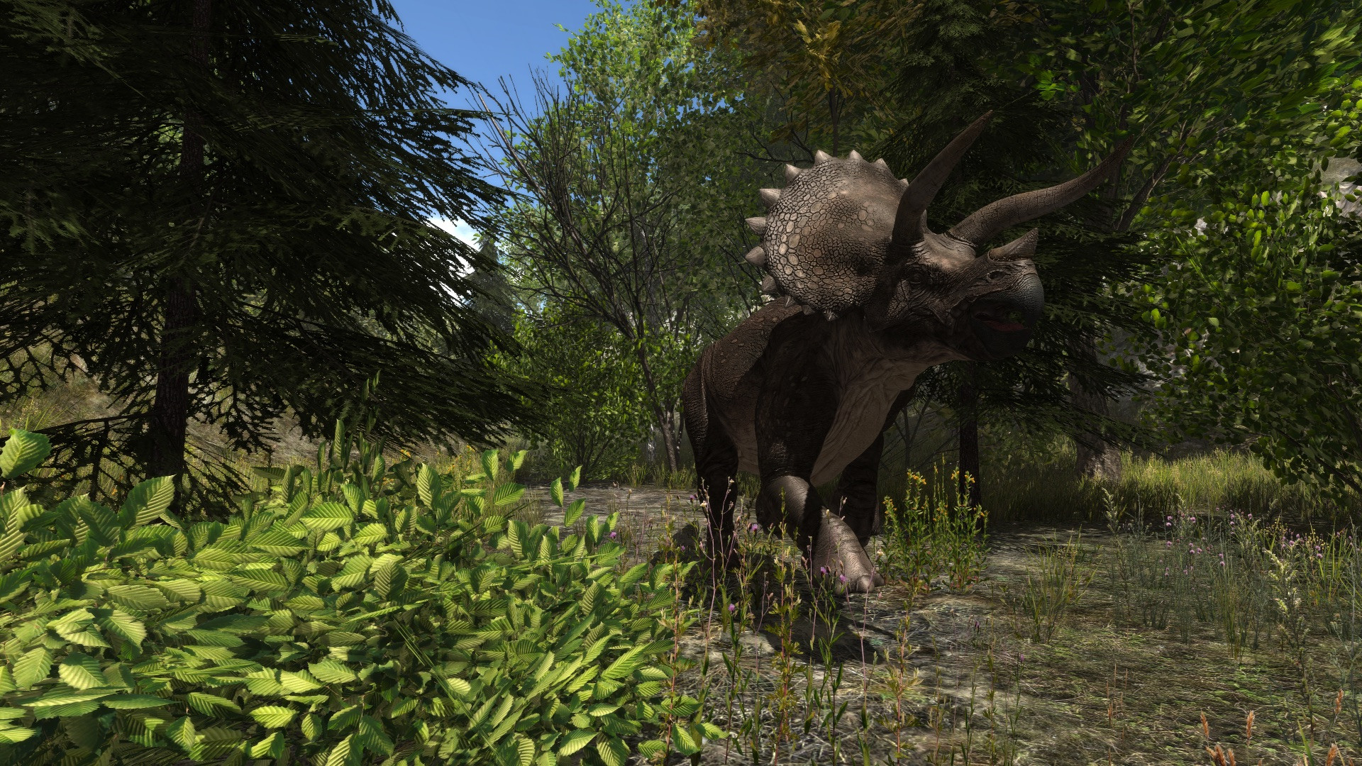 Dinosaur Forest - кадр 2