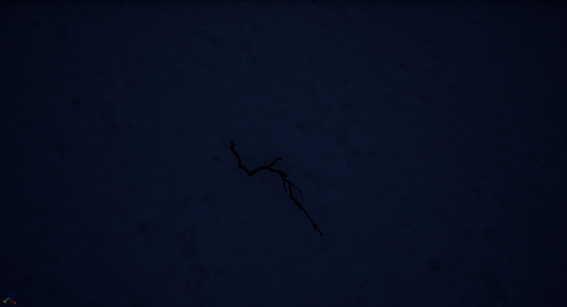 The Short Dark (itch) - кадр 3