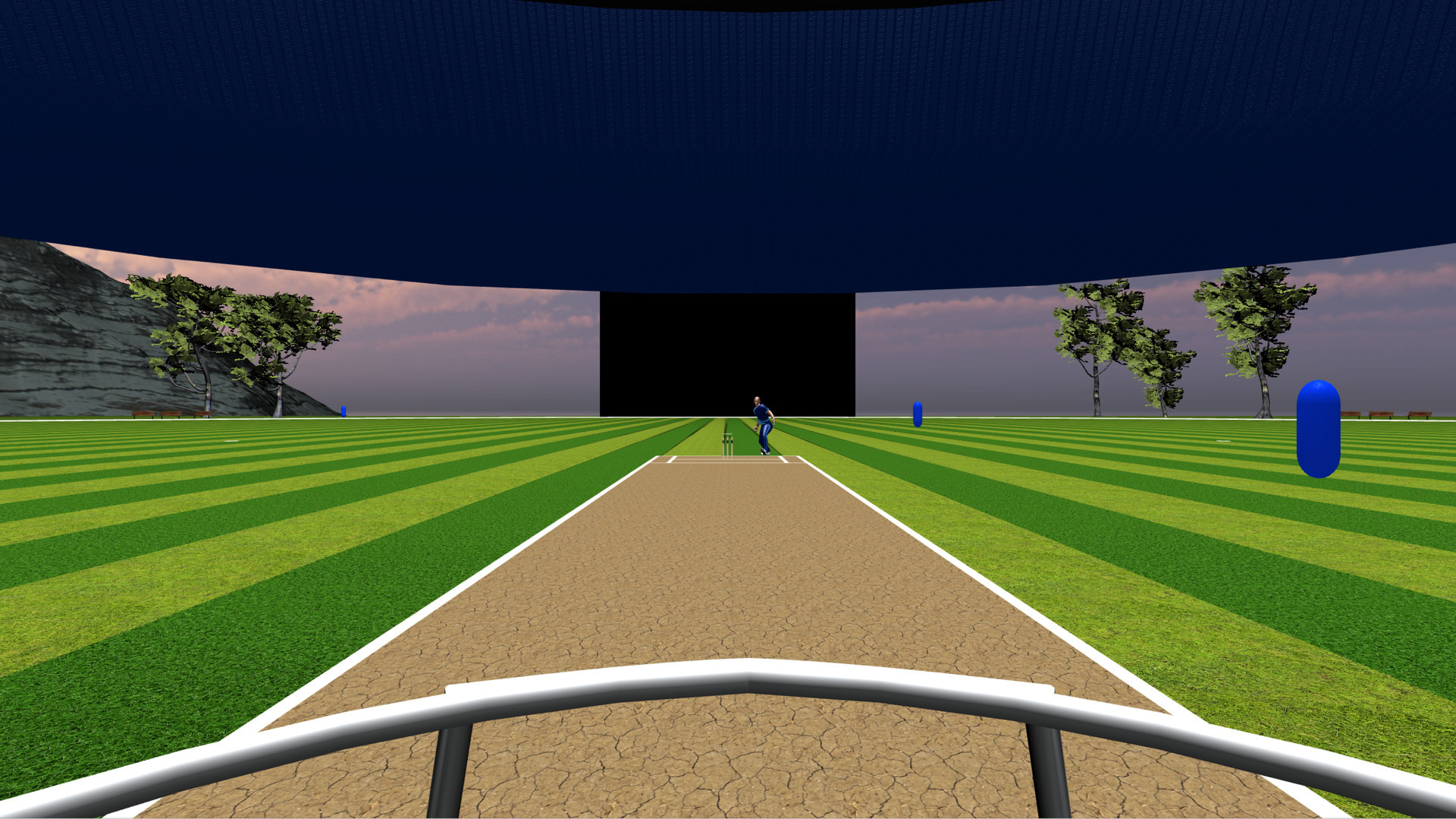 JUST BAT (VR CRICKET) - кадр 1