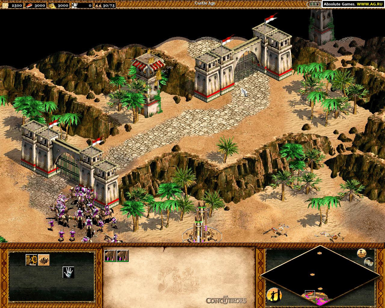 Age of Empires 2: The Conquerors - кадр 4