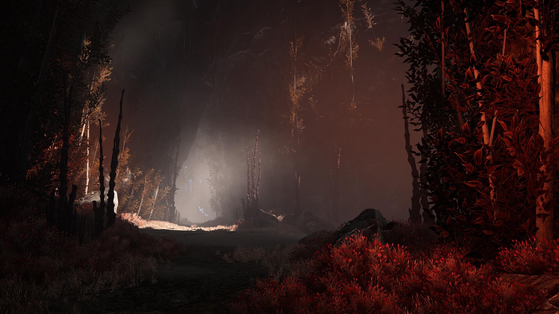 Dark and Light - кадр 7