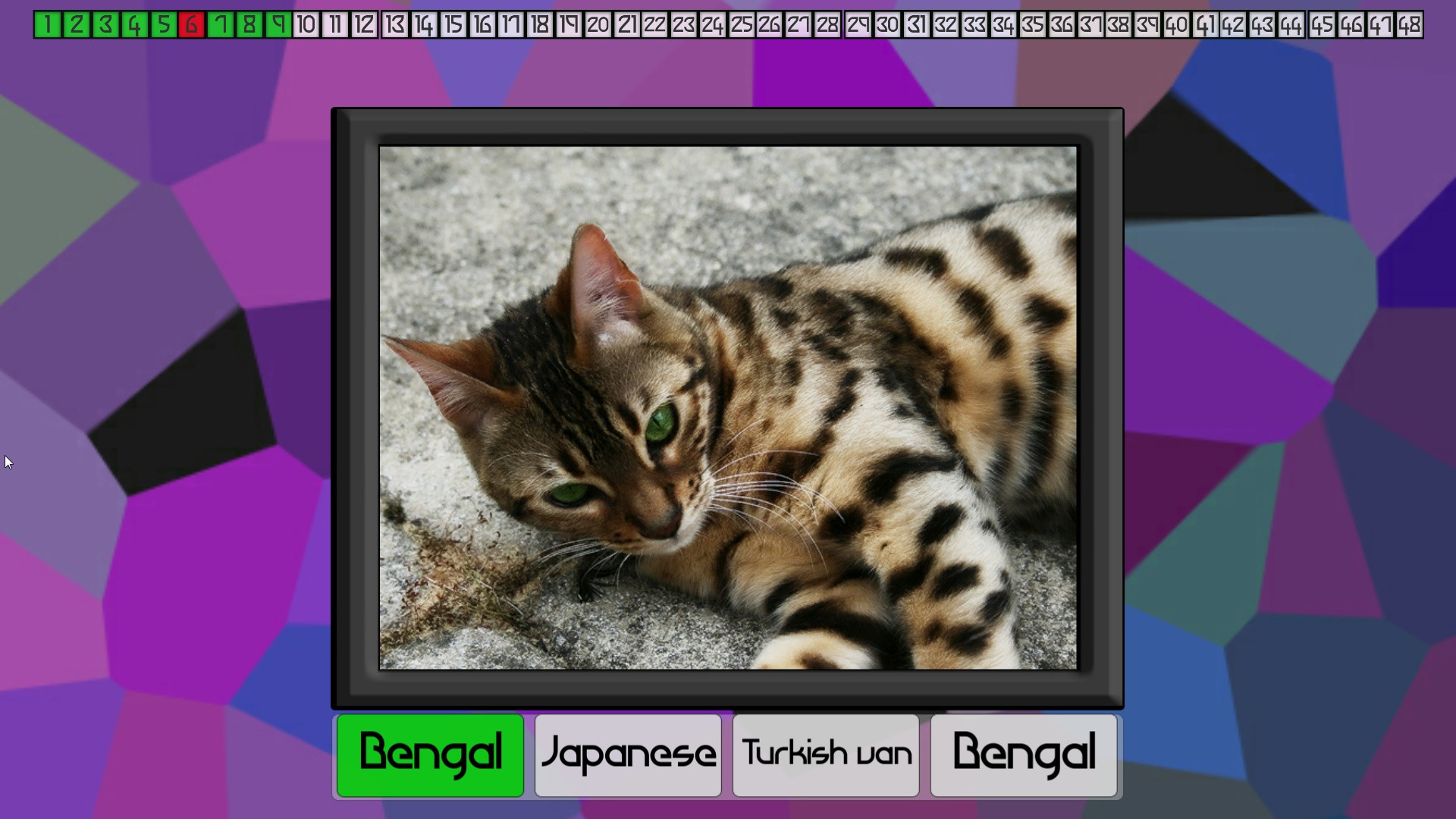 Test your knowledge: Cats - кадр 1