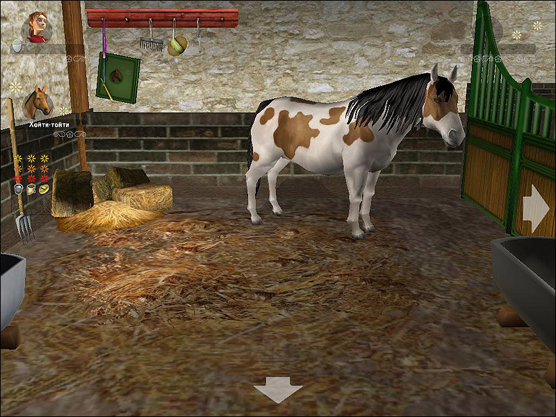 Pferd & Pony: Lass uns reiten 2 - кадр 2