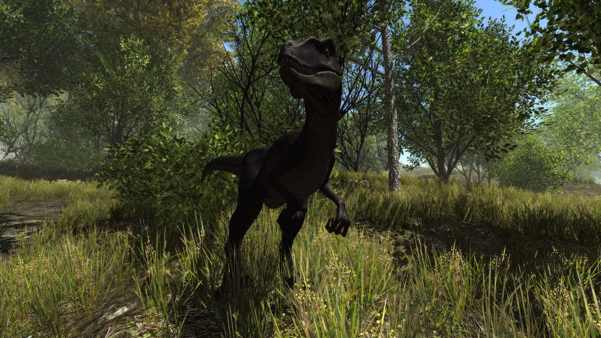Dinosaur Forest - кадр 3