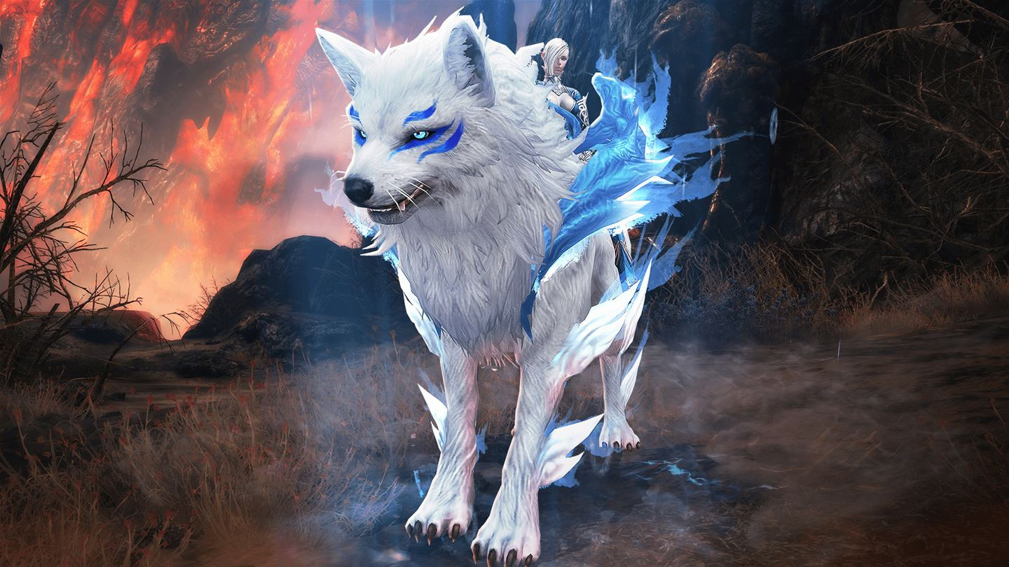 TERA: Founder’s Pack Deluxe - кадр 5
