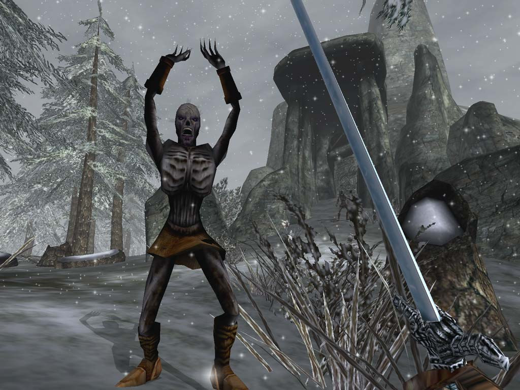 The Elder Scrolls 3: Bloodmoon - кадр 13