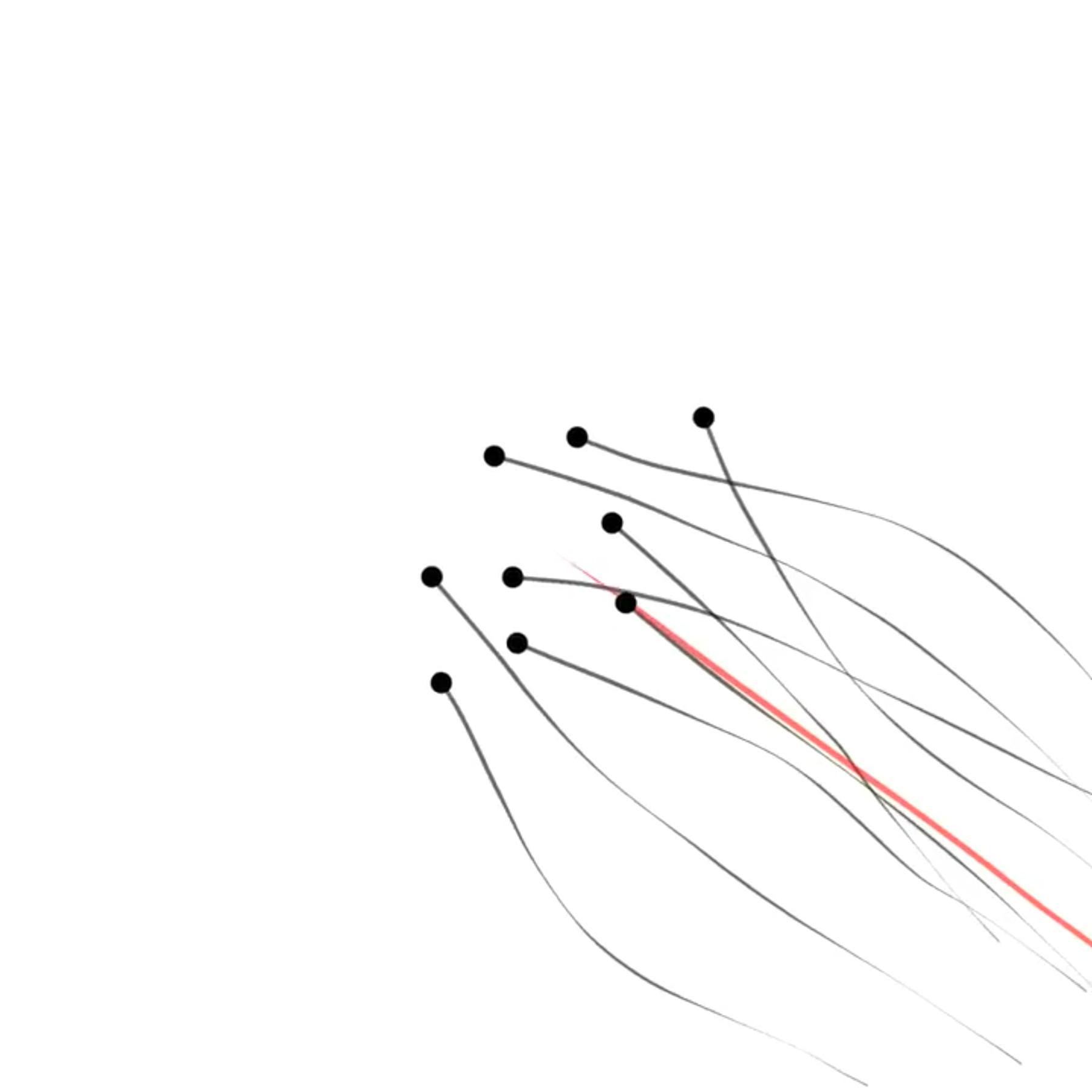 A Model of Collective Movement Driven by the Visual Field (itch) - кадр 2