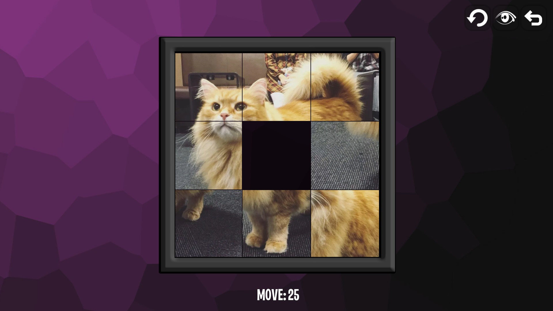 Intelligence: Cats - кадр 1