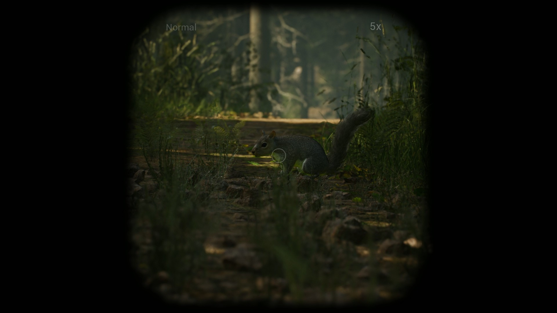 Morels: The Hunt - кадр 12