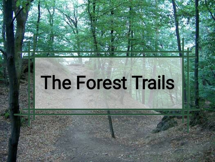 The Forest Trails (itch) - кадр 1