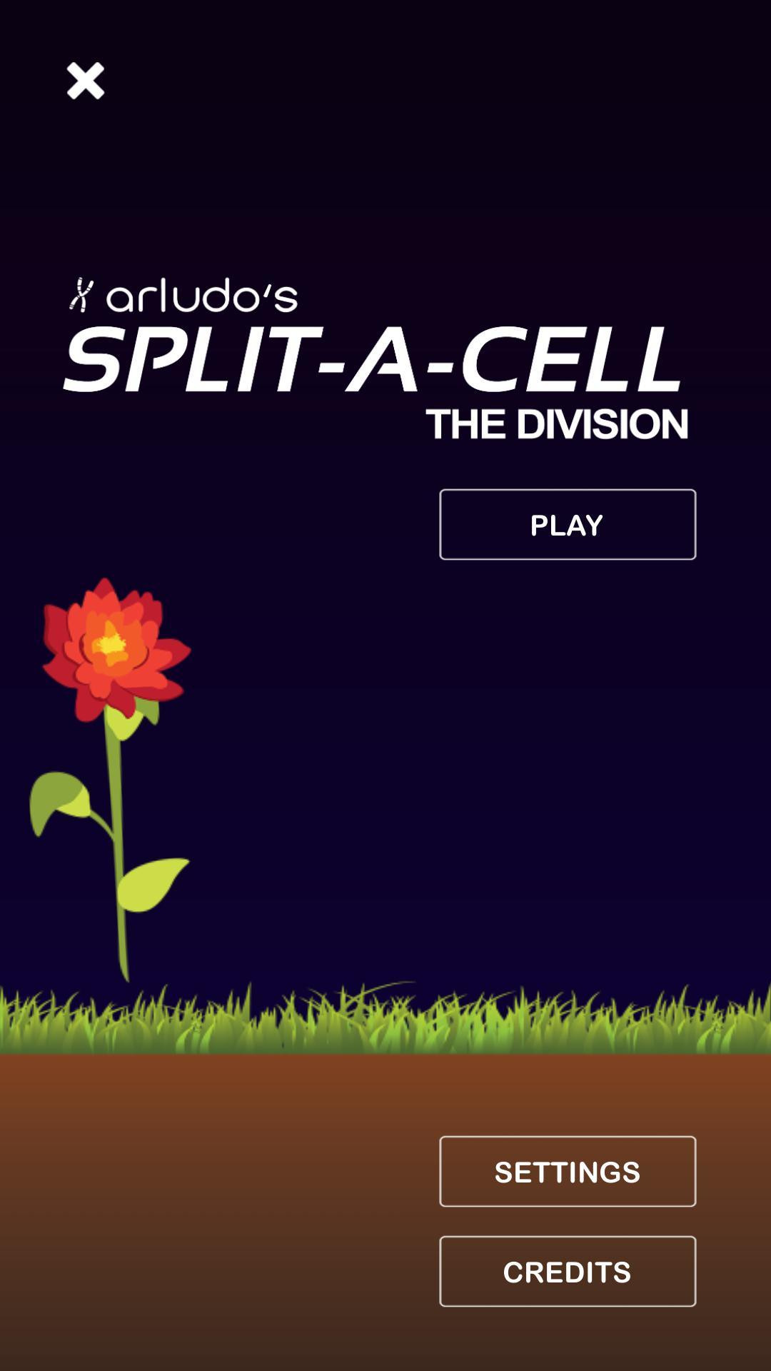 Split A Cell (itch) - кадр 1
