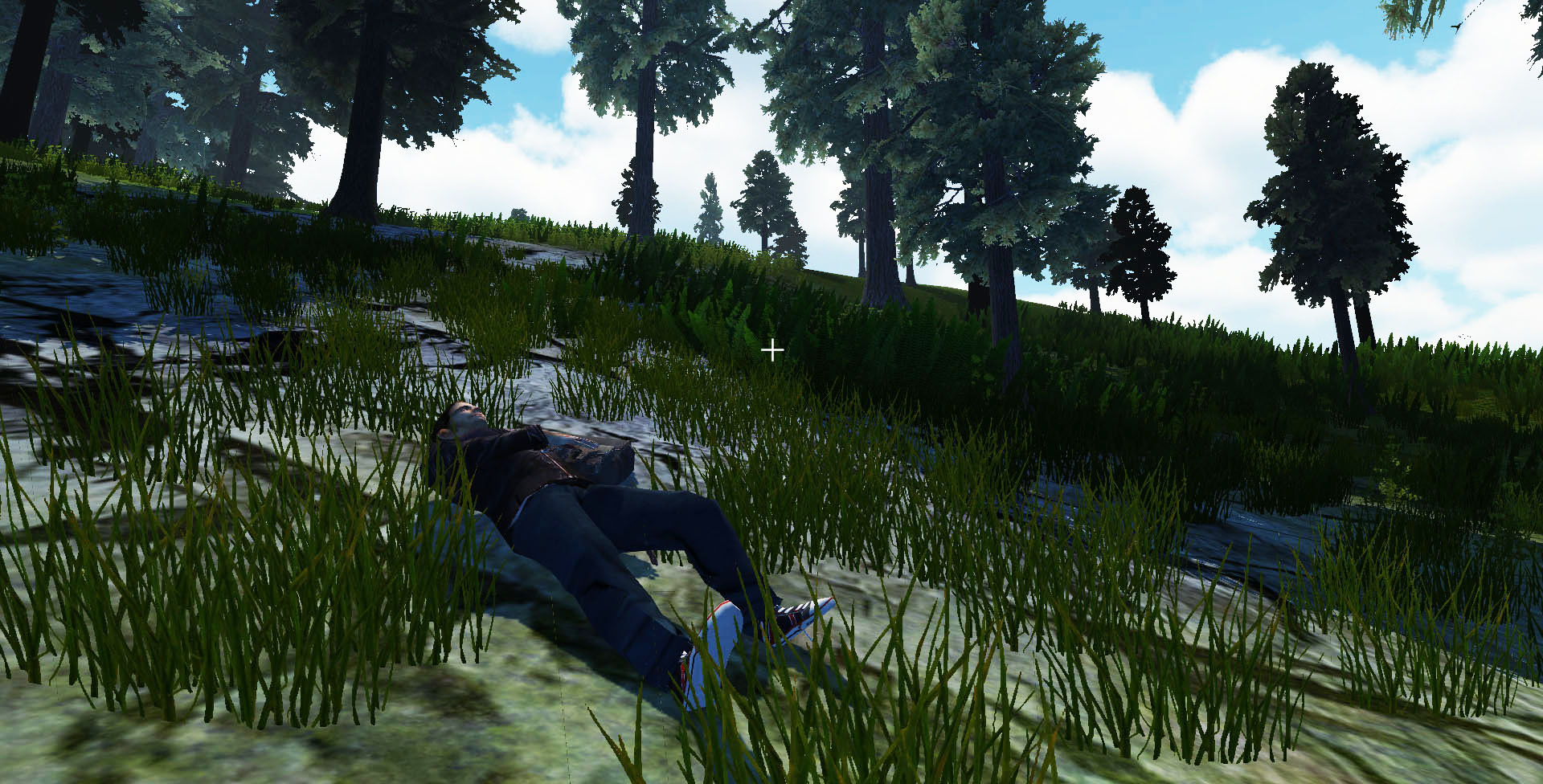 Recovery Search & Rescue Simulation - кадр 2