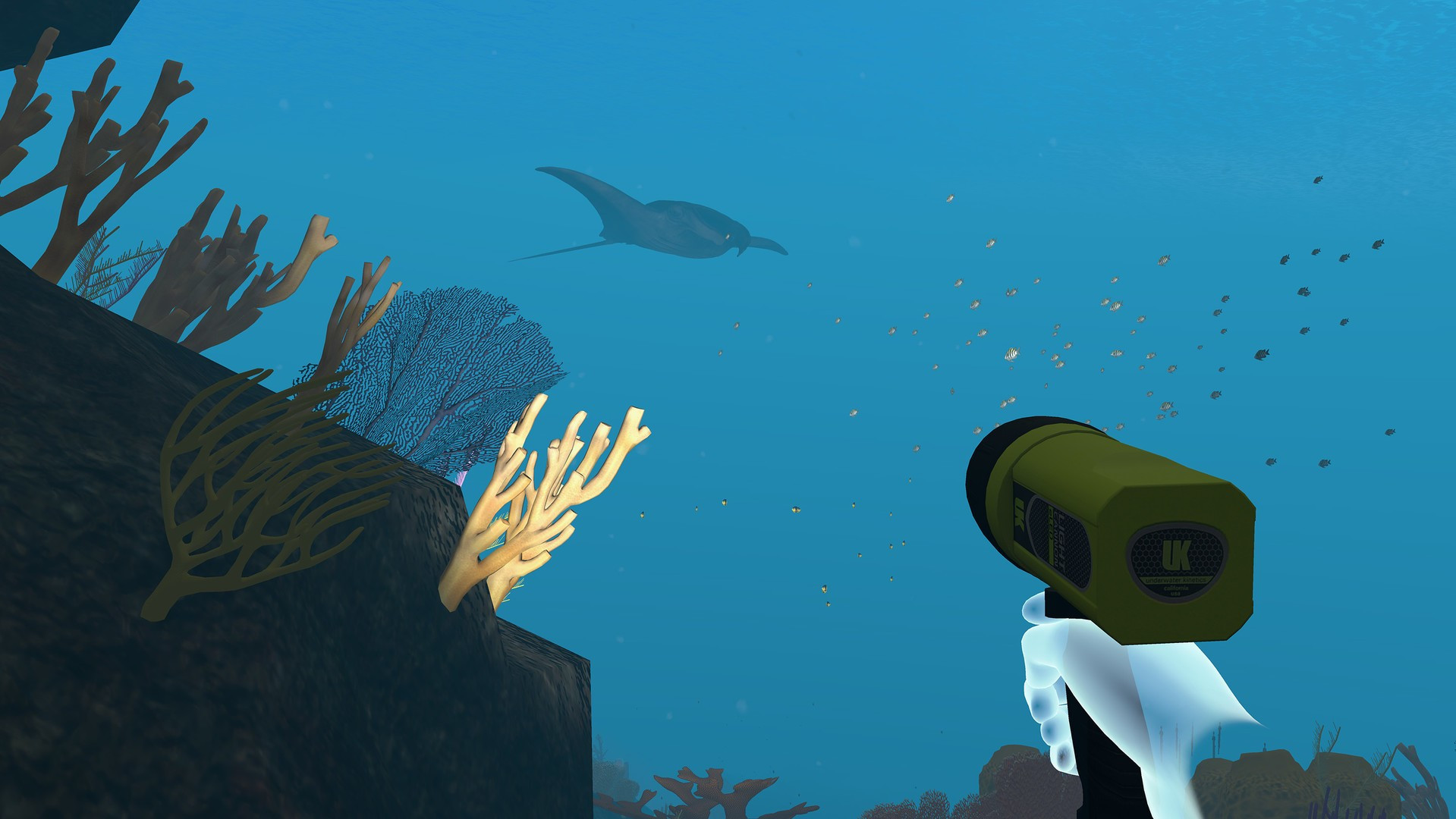 Dive with Sylvia VR - кадр 3