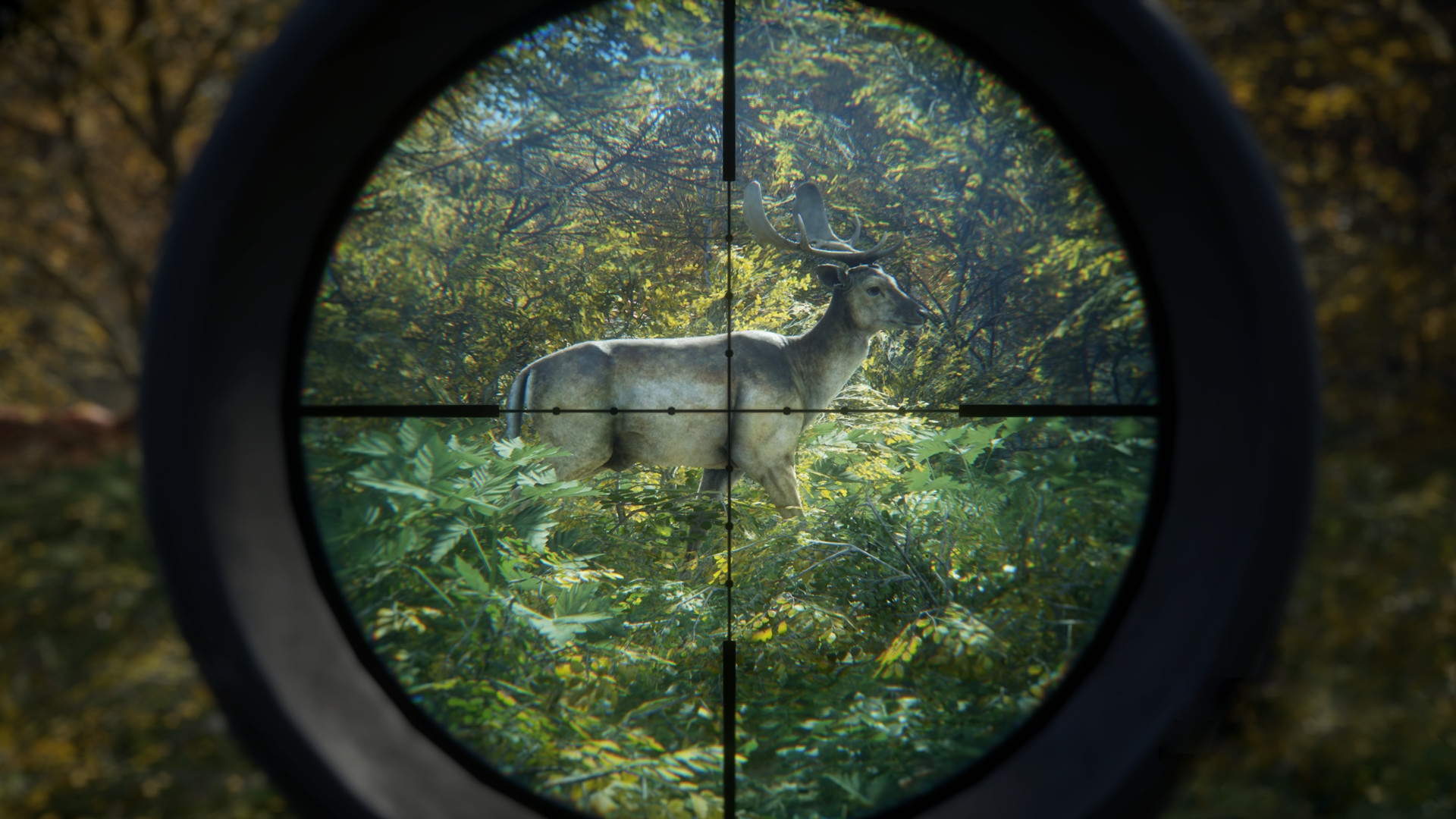 theHunter: Call of the Wild - кадр 10