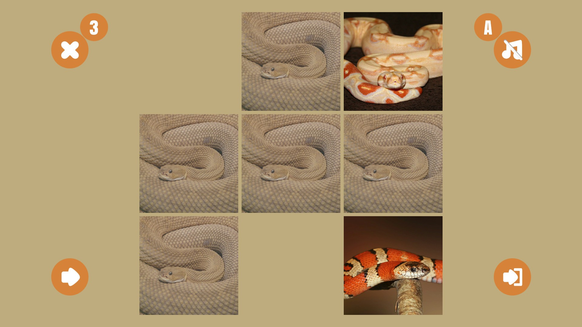 Snake couple - кадр 2