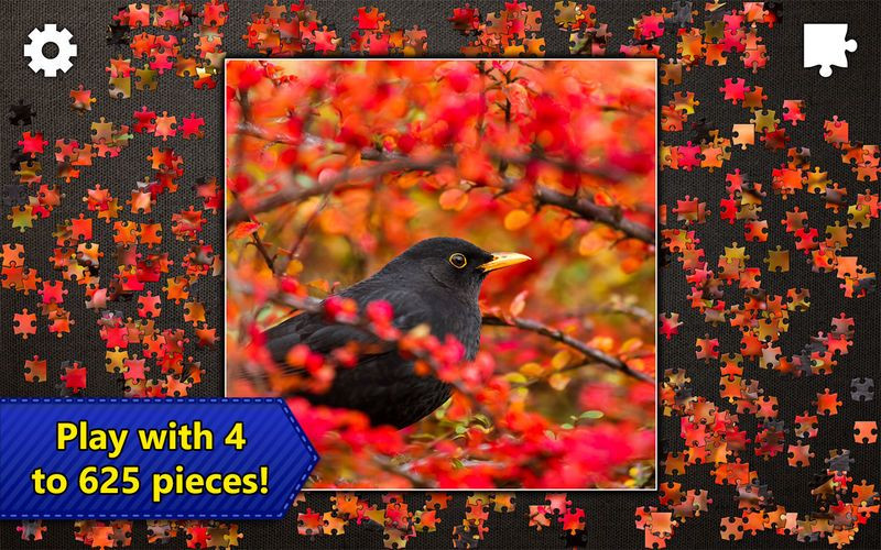 Jigsaw Puzzles Epic - кадр 2